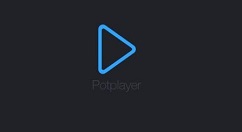 PotPlayer自动记忆播放位置怎么设置?