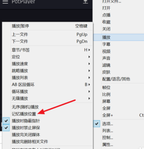 PotPlayer自动记忆播放位置怎么设置?