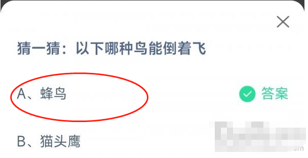 1666748569796915.png