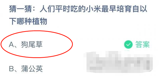 1668476605420793.png