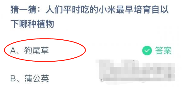 1668476991473112.png