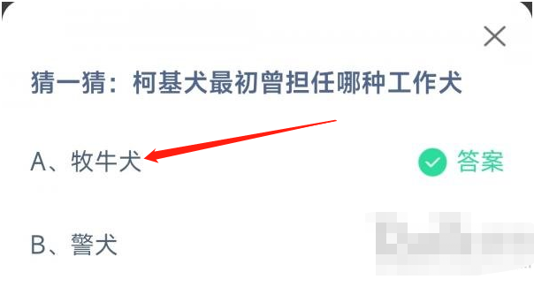 1669081264366934.png