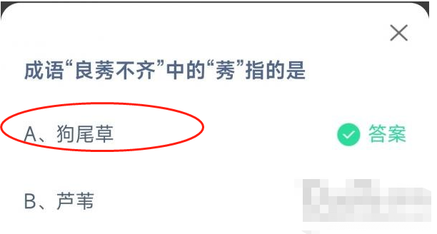 1669168292198247.png