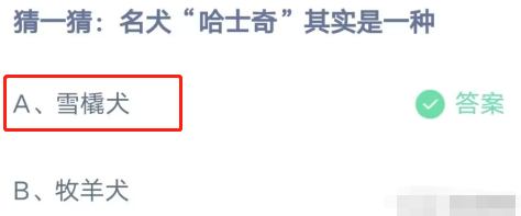 1681350703404452.png