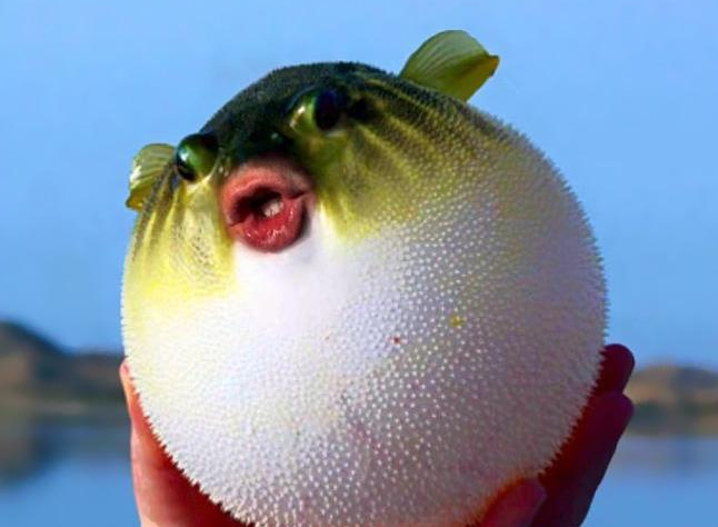 1684893161321880.png